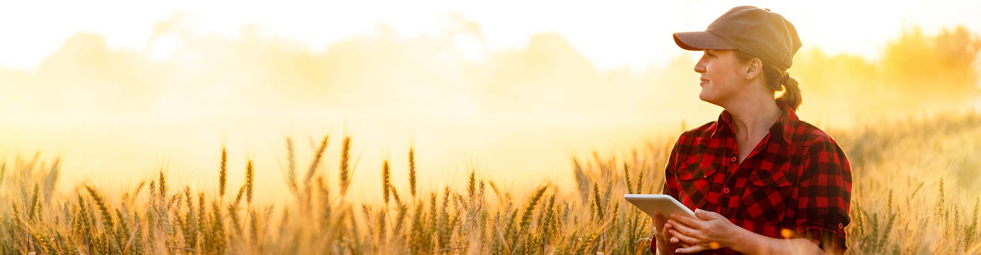 Kundenzufriedenheitsnanalyse