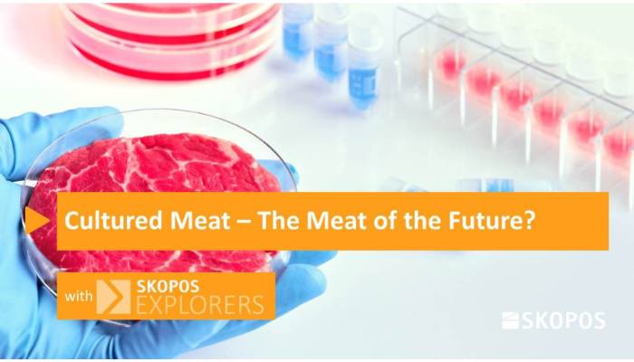Cultured Meat